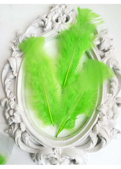 Декорация - Пера ябълково зелено лукс оформени пакет 30 бр